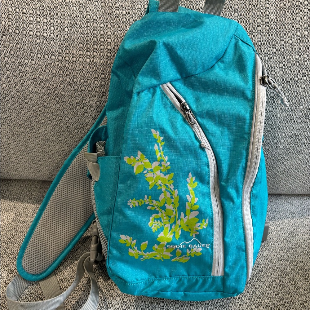 Eddie Bauer Blue and Green Backpack Durable and Stylish